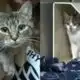Pine Belt Pet of the Week: Bethany and Sugar Plum