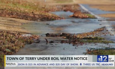 Water shutoff in Terry while crews repair leak