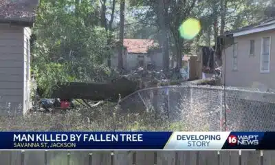 Man Killed By Fallen Tree
