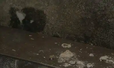 Residents say Hattiesburg apartments nearly unlivable