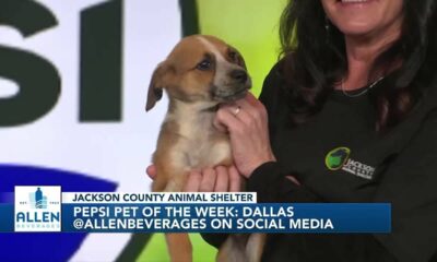 Pepsi Pet of the Week: Dallas (01/30/2024)