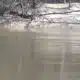 Water levels start to rise in the Pine Belt
