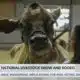 59th Annual Dixie National Livestock Show and Rodeo