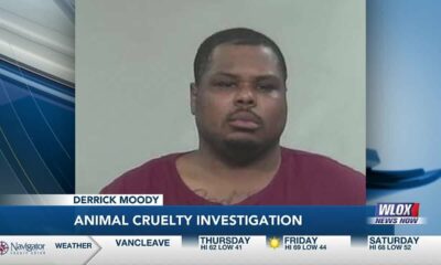 Man accused of animal cruelty charges