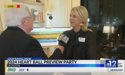 2024 Heart Ball preview party