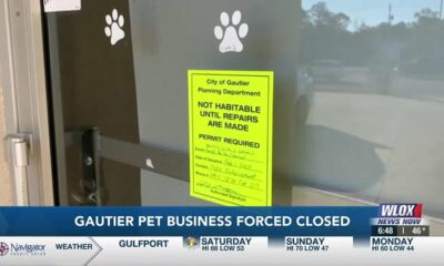 Gautier pet business forced to closed due to animal cruelty investigation