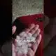 Hail falls in South Mississippi #gulfport #hail #poplarville
