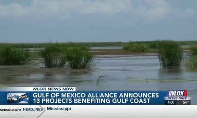 Gulf of Mexico Alliance announces 13 projects benefitting the Gulf Coast