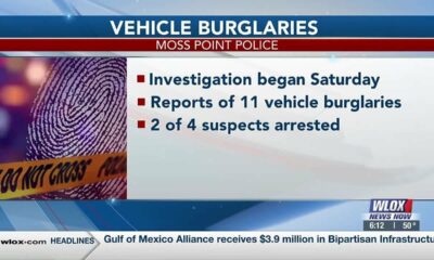 Moss Point PD investigating auto burglaries, searching for suspects