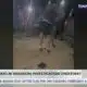 Video shows teen being attacked in Brandon