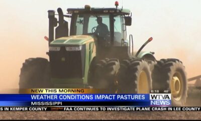 Weather conditions affect Mississippi pastures