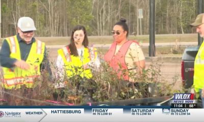 Gulf Coast celebrates arbor day