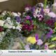 Coast florists busy prepping for Valentine's Day rush
