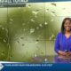 News 11 at 10PM_Weather 2/12/24