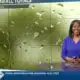 News 11 at 10PM_Weather 2/12/24
