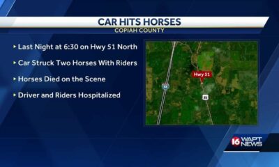 Car Hits Horses in Copiah