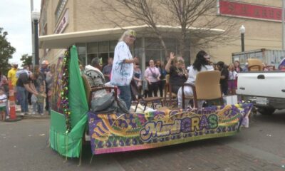 The economic impact of the Meridian Mardi Gras Festival