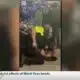 State Rep. Jeffrey Hulum reacts to forceful arrest in Biloxi