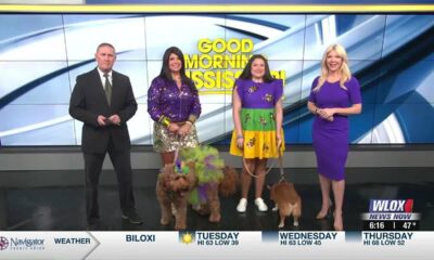 Krewe of Pawseidon talks about weekend parade