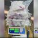 40 pounds of crystal meth valued at $500,000 seized by authorities