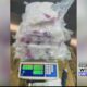 40 pounds of crystal meth valued at 0,000 seized by authorities