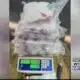 40 pounds of crystal meth valued at $500,000 seized by authorities