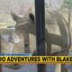 Jackson Zoo Adventures: White Rhino