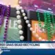 Hattiesburg Zoo recycling Mardi Gras beads