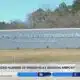 Jackson airport sees record number of firearms brought to TSA checkpoints