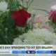 Valentine's Day spending to hit $25 billion