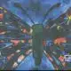 Tupelo student’s artwork to be featured on hospice center’s t-shirt