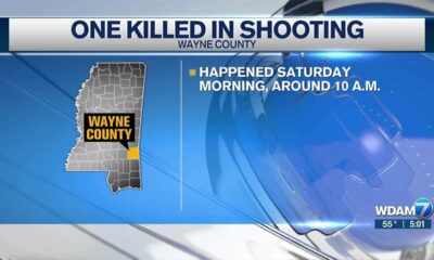 1 dead in Wayne County shooting