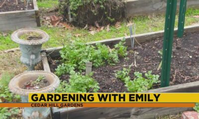 Gardening with Emily Grohovsky