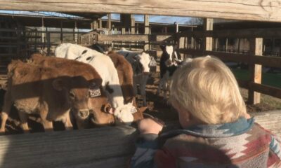 Urbo Crossing Creamery Dairy Farm opens in Newton County