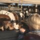 Urbo Crossing Creamery Dairy Farm opens in Newton County