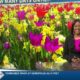 News 11 at 6PM_Weather 2/19/24