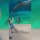 MS Aquarium "Dolphin Talk" PSA FINAL