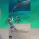 MS Aquarium "Dolphin Talk" PSA FINAL