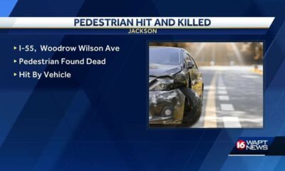 Pedestrian killed on I-55