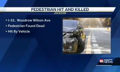 Pedestrian killed on I-55