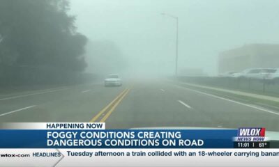 Foggy conditions settled on the Coast