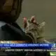 New grants help survivors of domestic violence and their pets