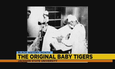 The Original Baby Tigers