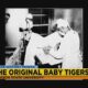 The Original Baby Tigers