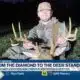 William Carey, Southern Miss baseball show off deer hunting skills
