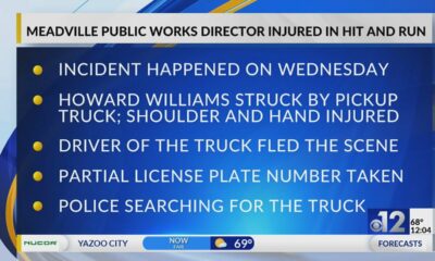 Meadville Public Works director injured in hit-and-run