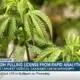 MSDH moves to revoke license of medical cannabis testing facility