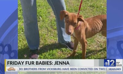 Friday Fur Babies: Meet Jenna