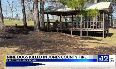 Fire at Jones County home kills 9 dogs