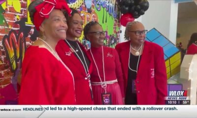Coliseum hosts Delta Sigma Theta’s 2024 Mississippi State Cluster